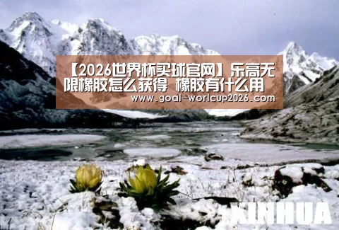 【2026世界杯买球官网】乐高无限橡胶怎么获得 橡胶有什么用(图1) 2026世界杯买球官网app下载地址