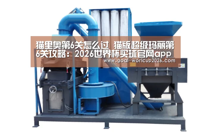 猫里奥第6关怎么过 猫版超级玛丽第6关攻略:2026世界杯买球官网app下载地址(图4) 2026世界杯买球官网app最新版
